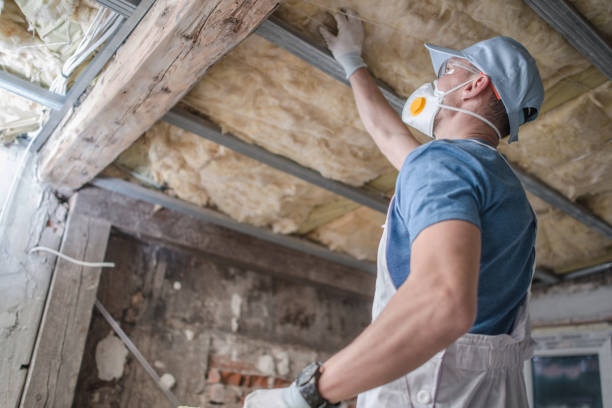 Best Insulation Replacement Services  in Collingdale, PA