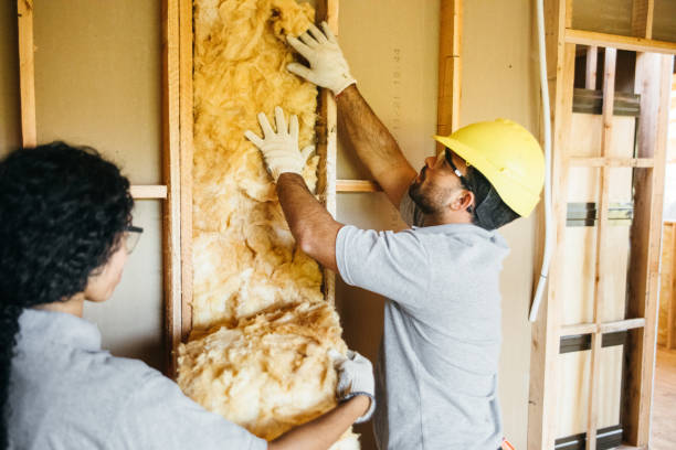 Best Affordable Insulation Services  in Collingdale, PA